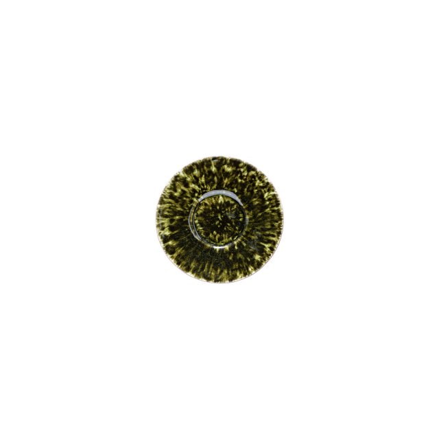 Coffee Saucer 13cm Costa Nova Rivera Forets
