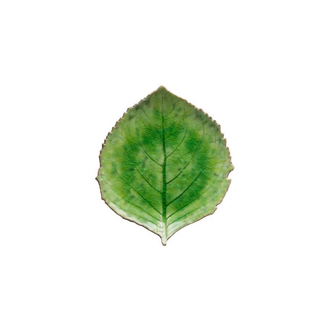 Πιάτο Hydrangea Leaf 22cm Costa Nova Riviera Tomate