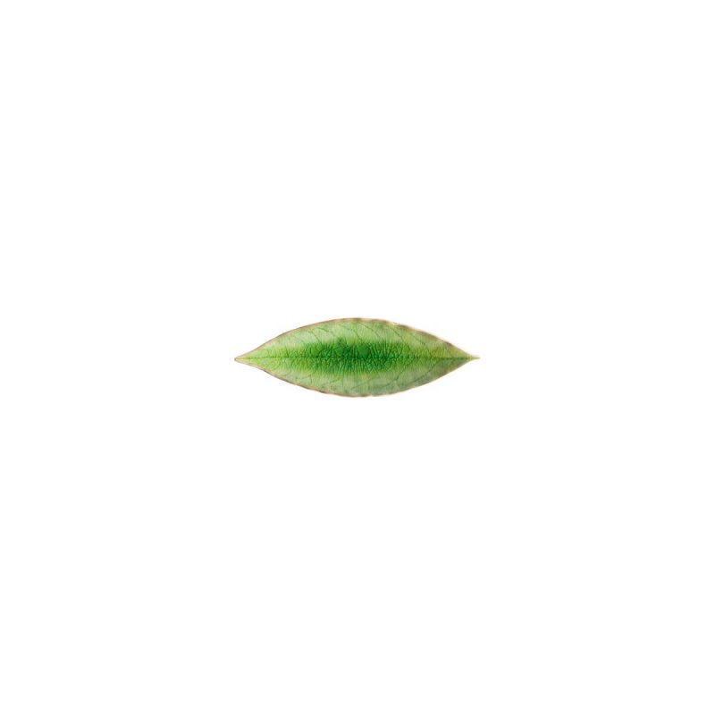 Πιάτο Laurel leaf 18cm Costa Nova Riviera Tomate