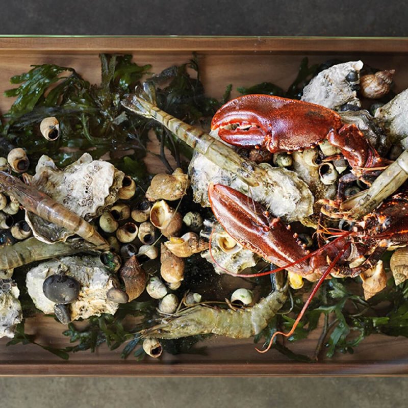 Ξύλινος Δίσκος/Καπάκι Καρυδιά 1/2GN Craster Flow Bento Walnut 