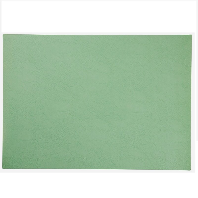 Placemat Vegan Leather 46x33cm Asa Selection Basil