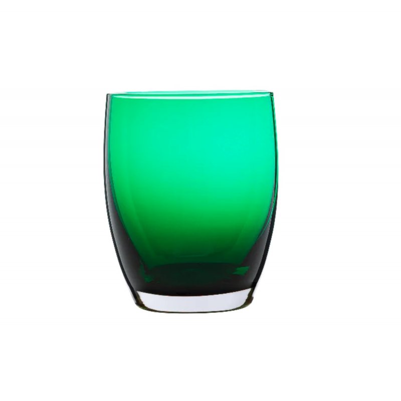 Ποτήρι Χαμηλό 290ml Degrenne Allegro Green