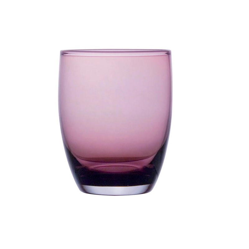 Tumbler 290 ml Degrenne Allegro Cassis