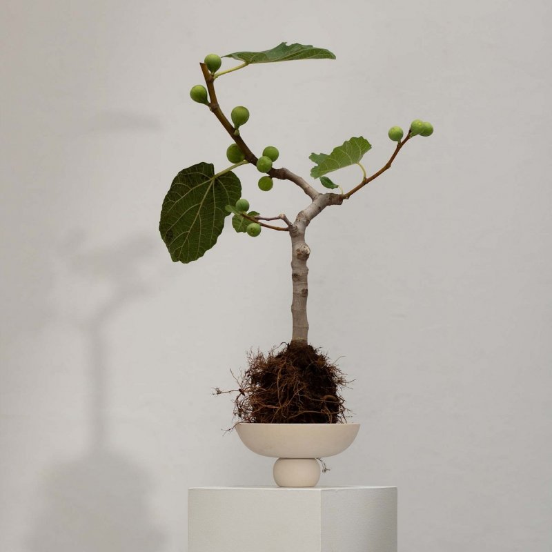 Μπολ 20cm 101 Copenhagen Baburu Mini - Birch